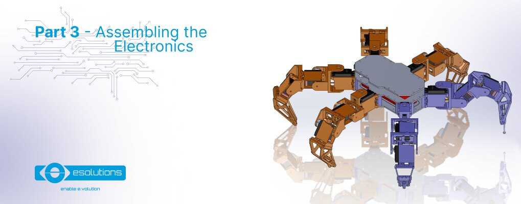 How to build a hexapod
