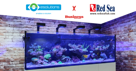 eSolutions x Red Sea in Business Magazin - Inovatia ReefDose in acvaristica
