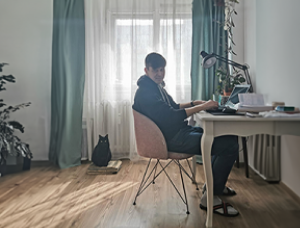  eSolutions - Work from Home